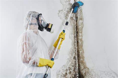 cleaning mud Malaysia|mould removal service malaysia.